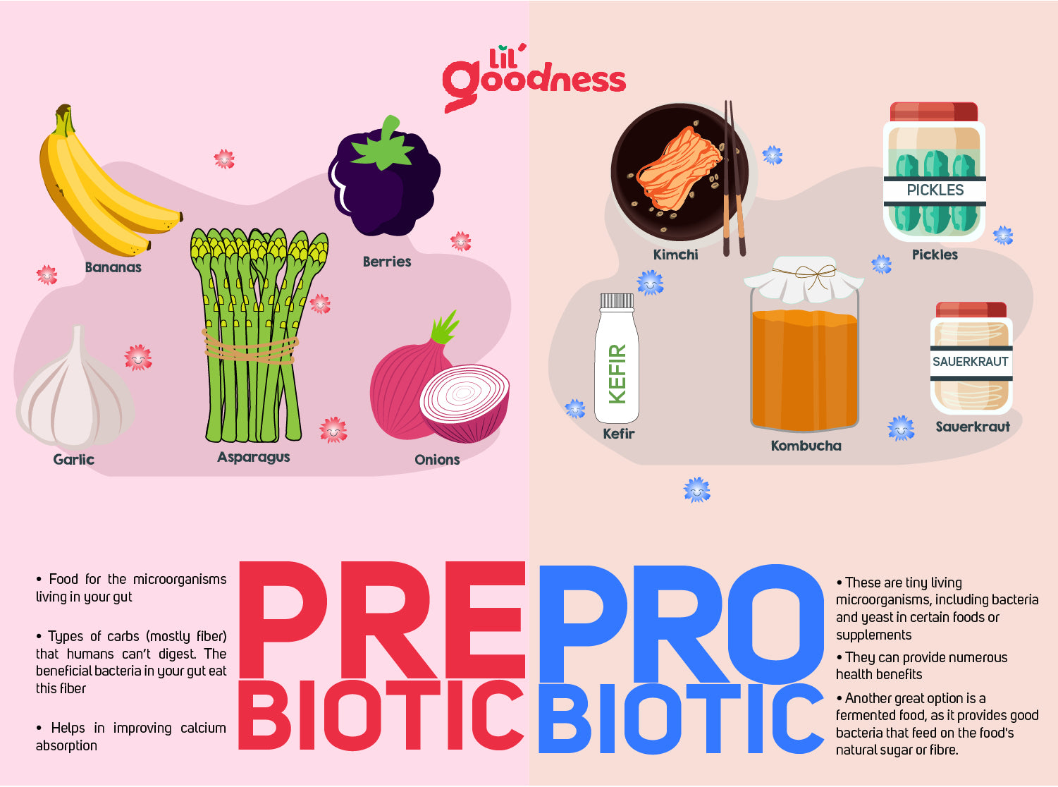 Everything you need to know about Probiotics & Prebiotics. – LiL Goodness